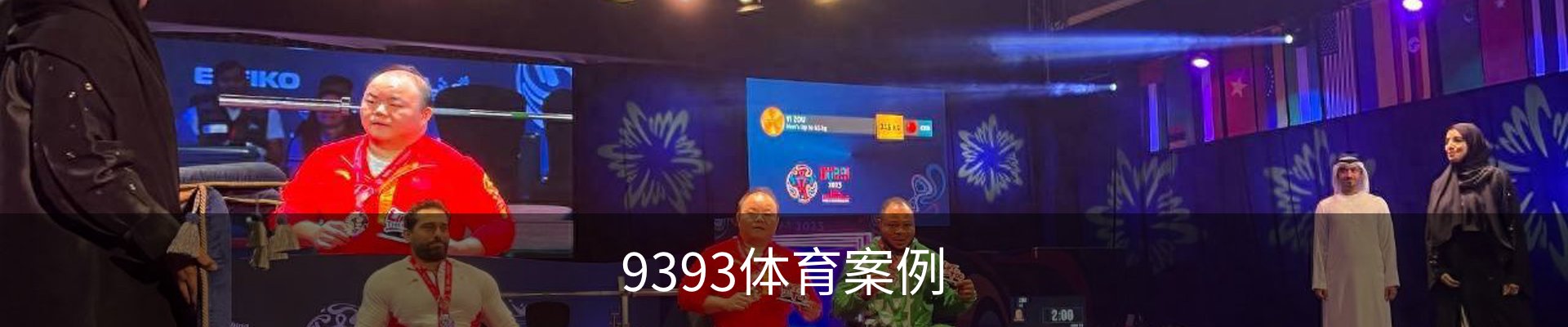 9393体育案例